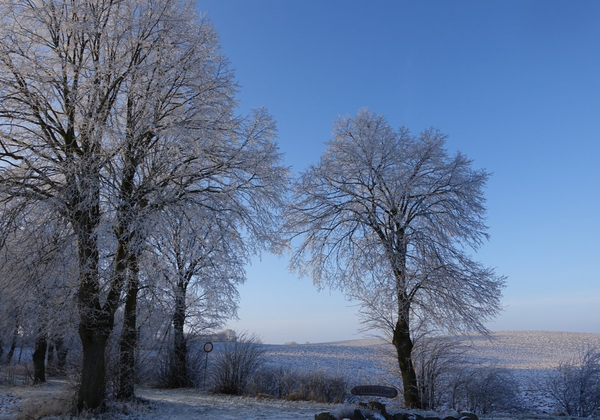 Feiern im Winter