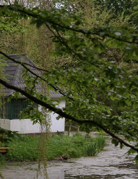 Blick durch begrünte Äste auf See und Haus am Ufer